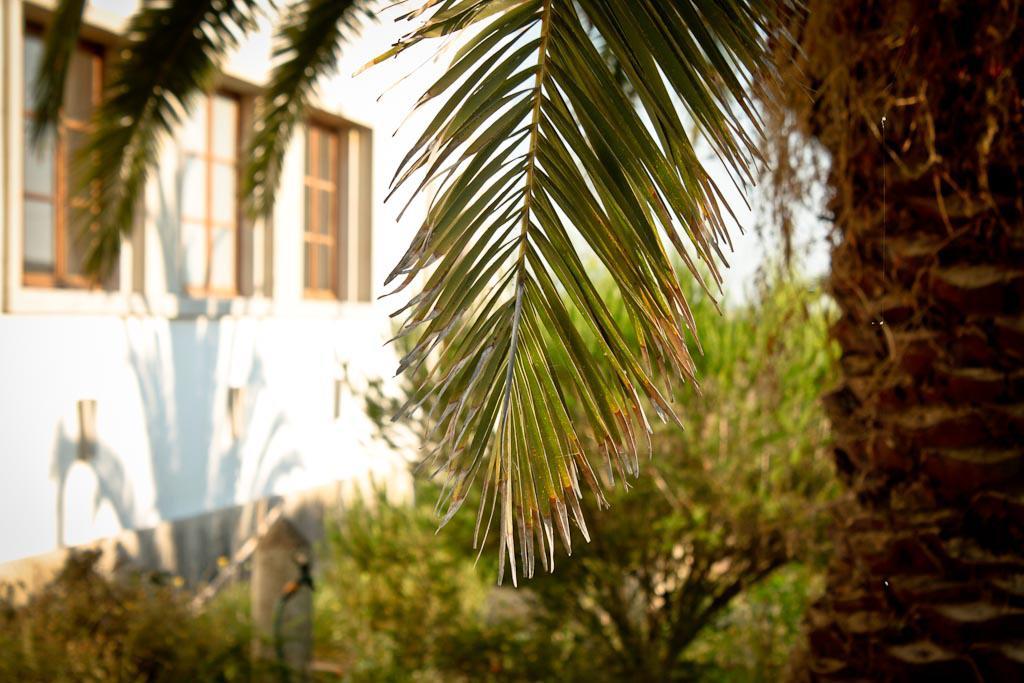 Cabeca Da Cabra Casa De Campo Porto Covo Exteriör bild